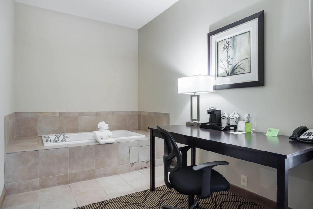 La Quinta Inn & Suites by Wyndham Auburn - Général
