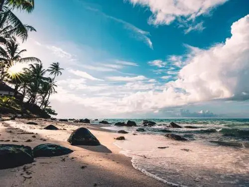 Beach & Waterfront