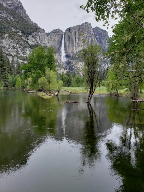 Yosemite Foothill Retreat - Private Guest Suite #3