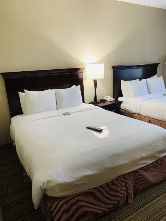 1 Bedroom Suite