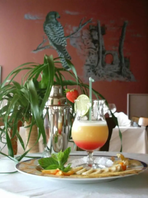 Hotel le Falken - Général