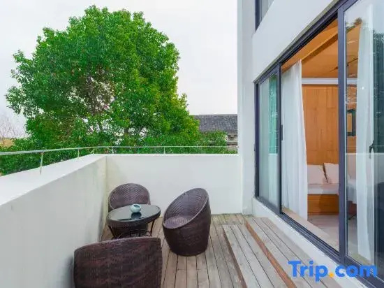 Balcony & Terrace