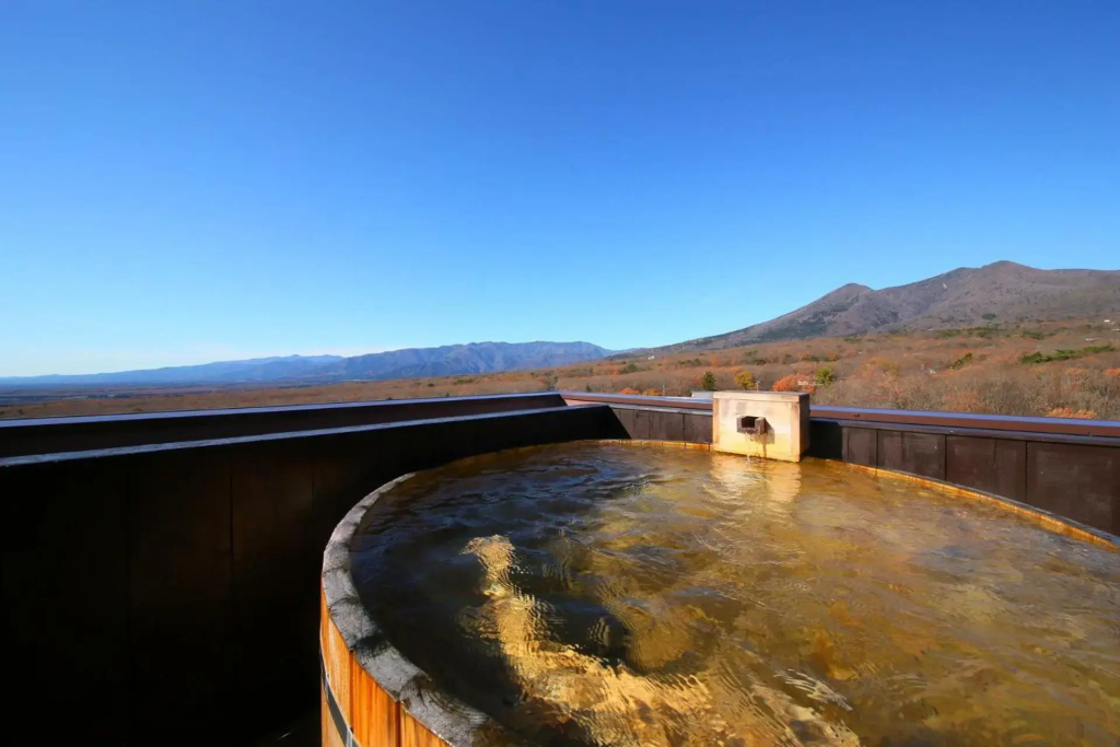 Nasu Ichiya Hotel - Général