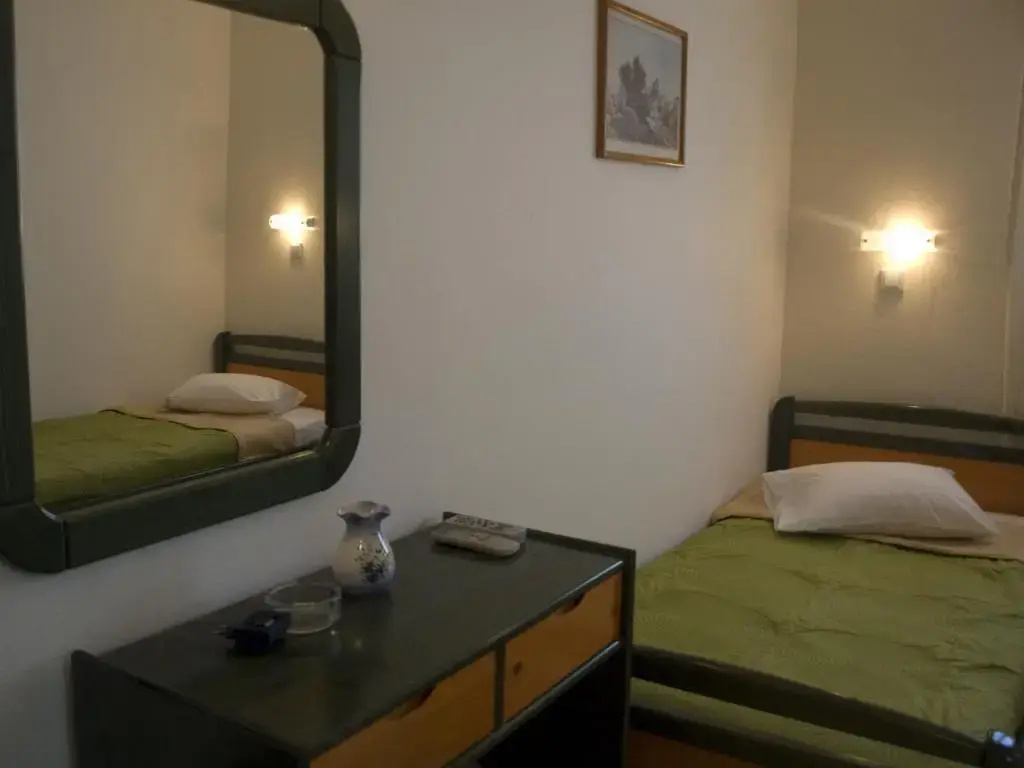 Standard Double room with mountain view (twin beds)