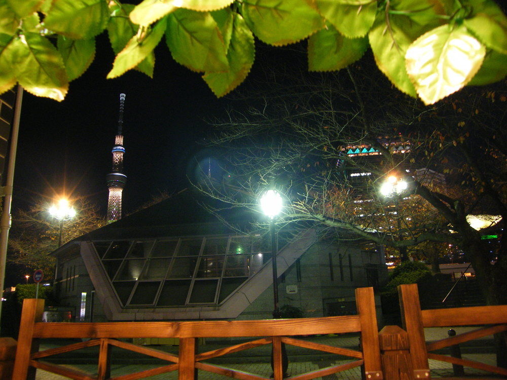 Japonica Lodge(ジャポニカロッジ) 사진 12