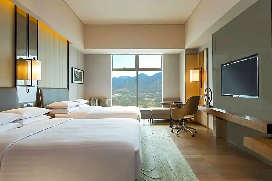 Deluxe room with mountain view