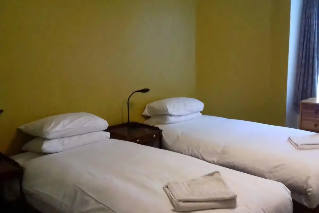 Standard Double room (twin beds)
