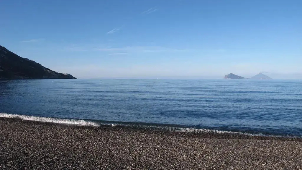 Beach & Waterfront