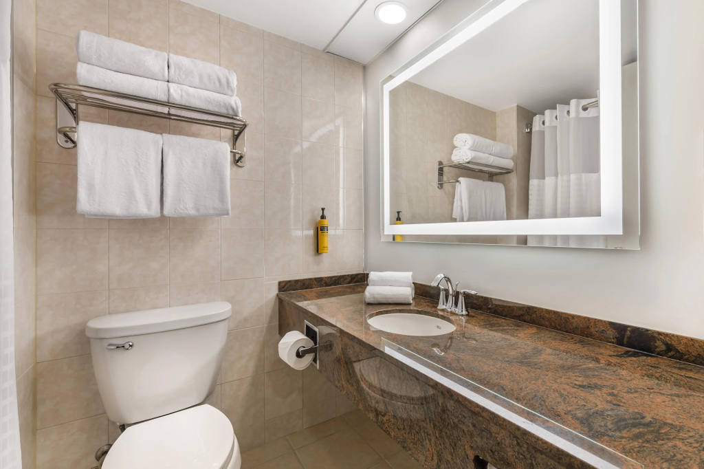 Best Western Plus Ottawa City Centre - Général