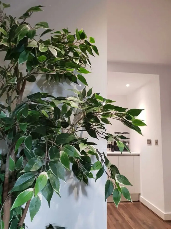 305 Dayus House — фото 2