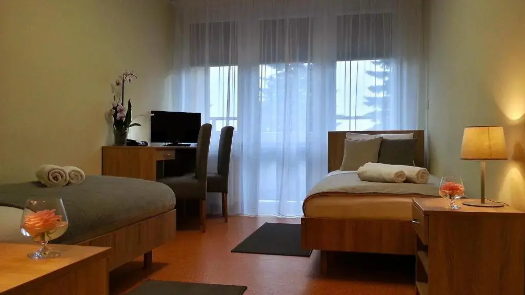 Standard Double room (full double bed)