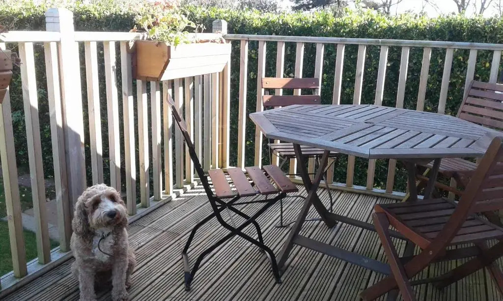 Balcony & Terrace