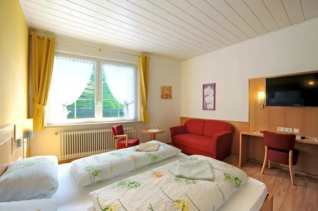 Winzerhotel zum Moselstrand - Général