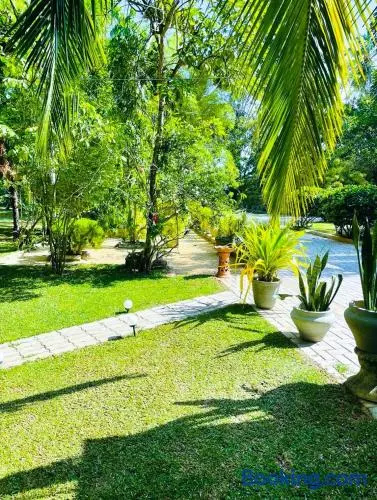 apartmentpicture