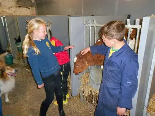 t'Ooievaarsnest - фото 12