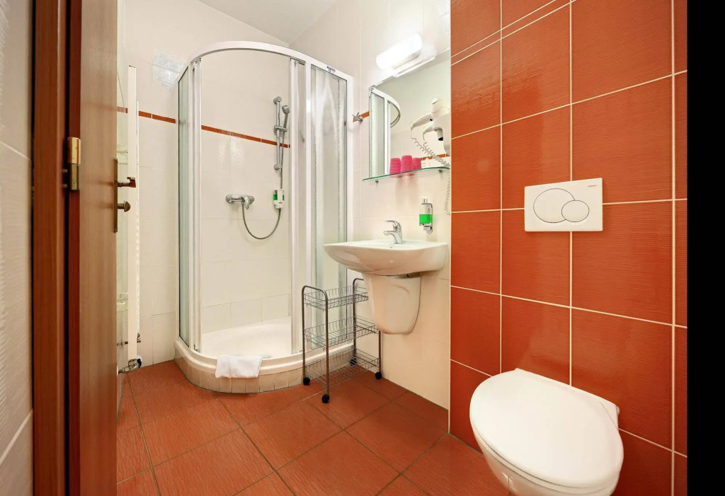 Hotel Záviš z Falkenštejna - Général