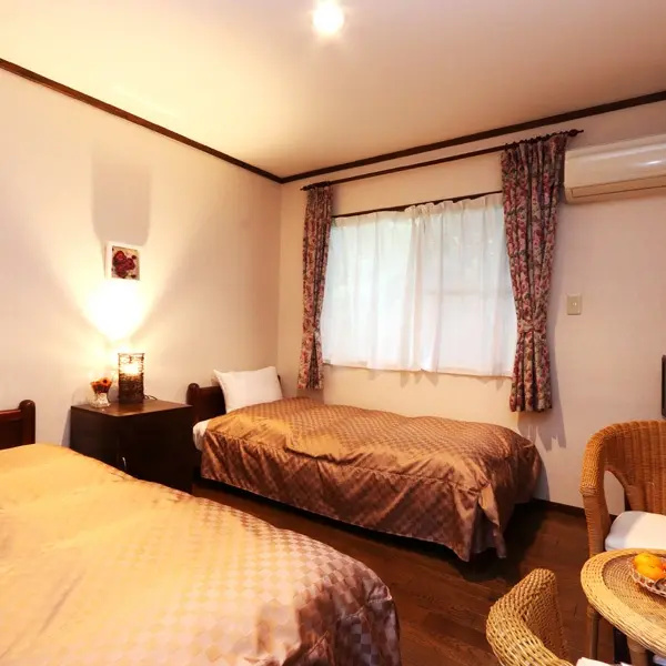 Standard Double room (twin beds)