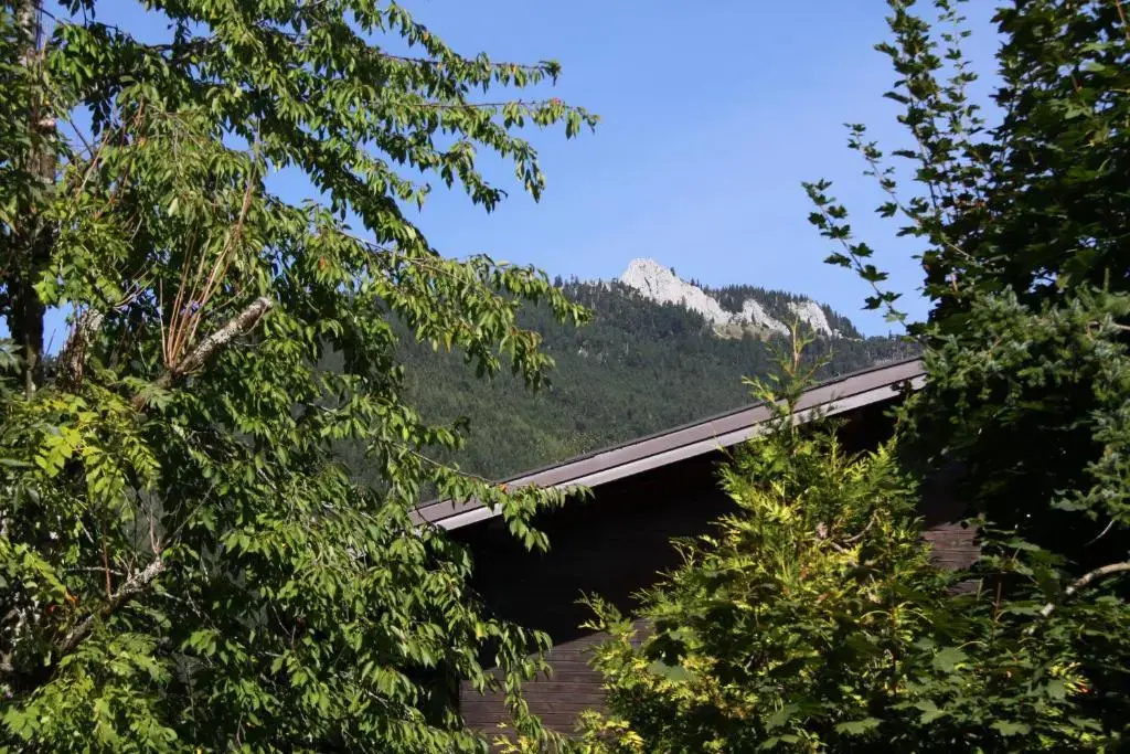 Haus Seeschwalbe Pension - Chambres