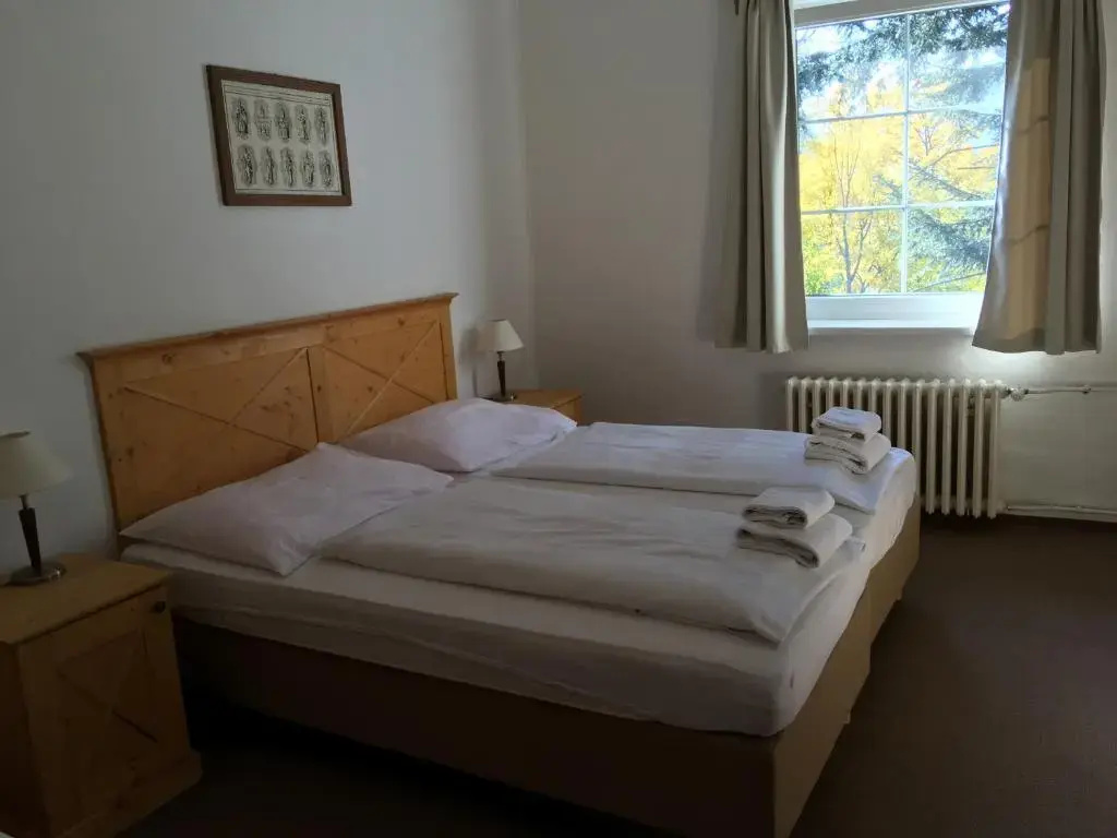 Hotel Tři růže - Chambres