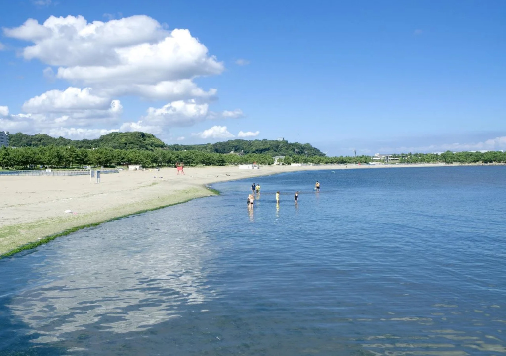 Beach & Waterfront