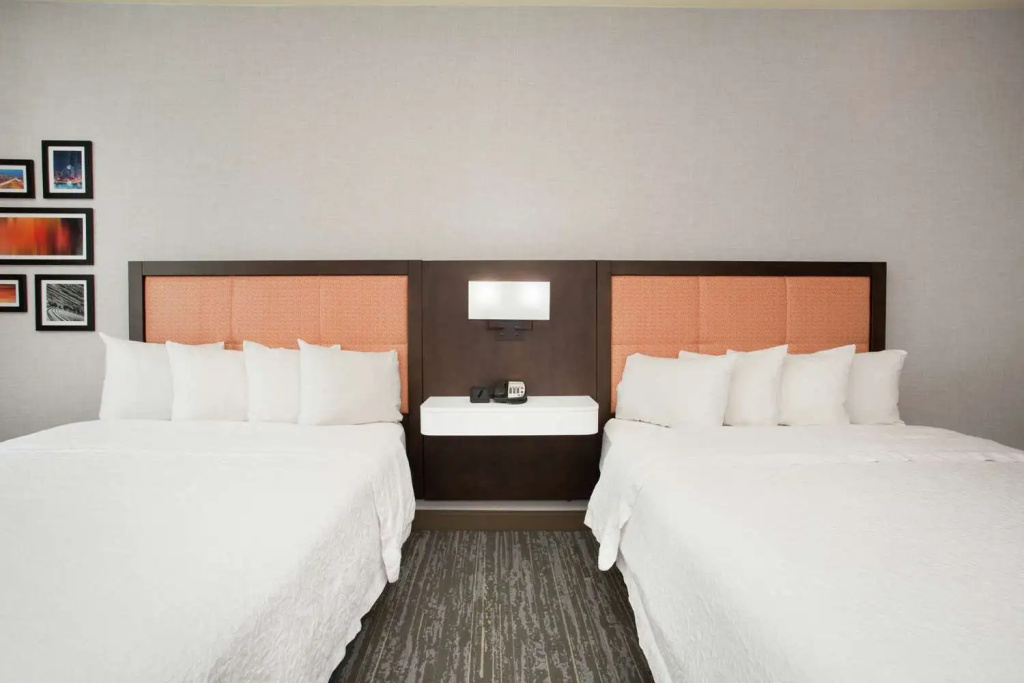 Hampton Inn & Suites Denver-Downtown - Chambres