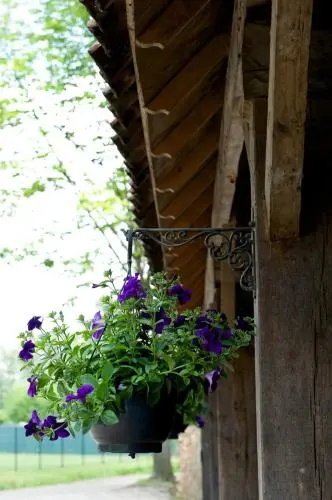 B&B De Keyartmolen - фото 10