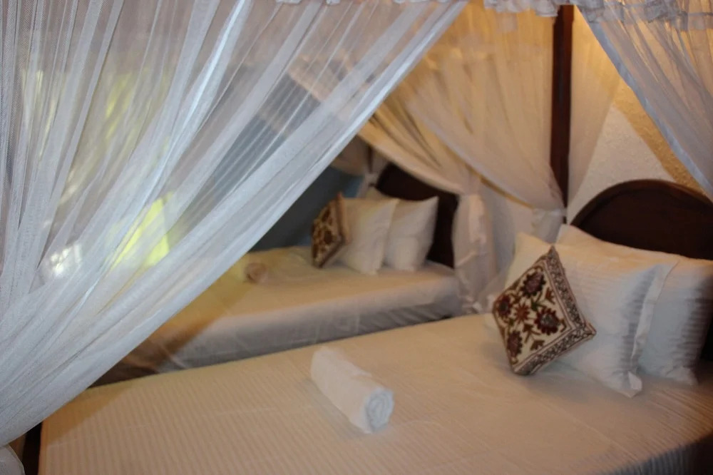 Hotel Tree Of Life
