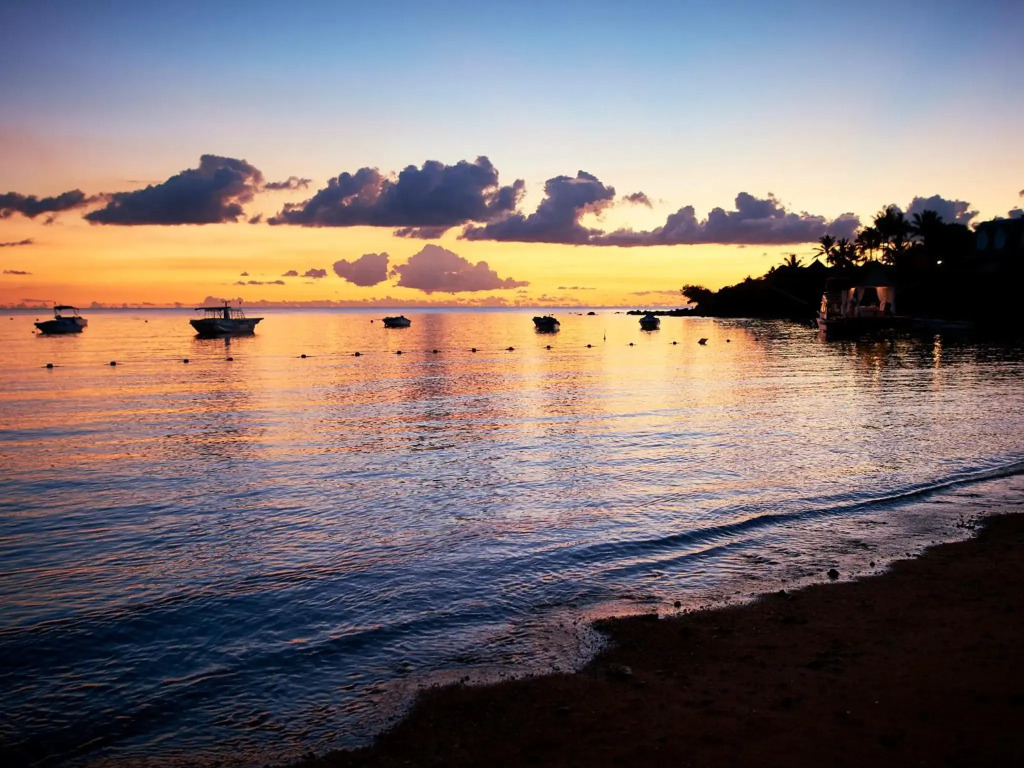 The Ravenala Attitude - фото 27