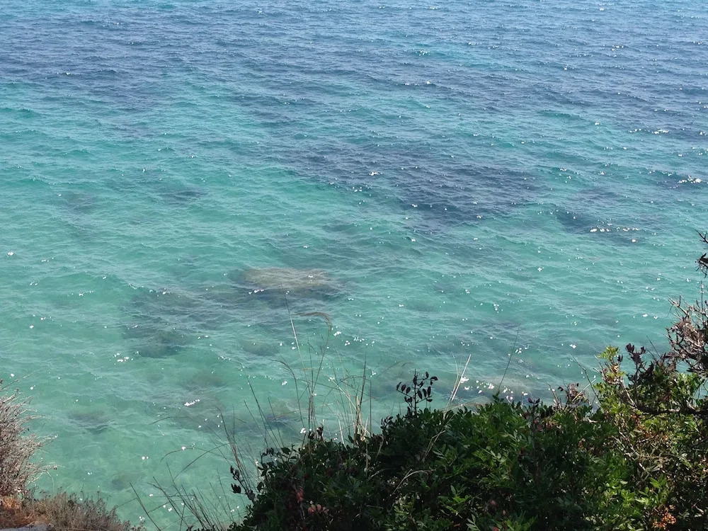 Image 15