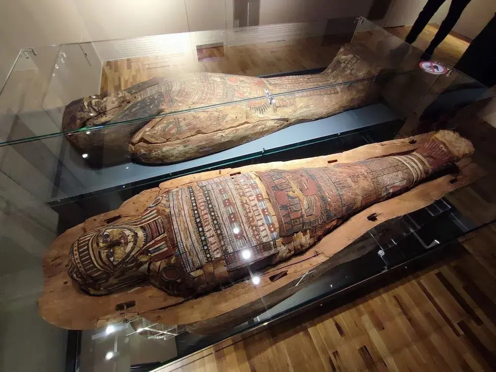 Belleview Cluj — фото 2