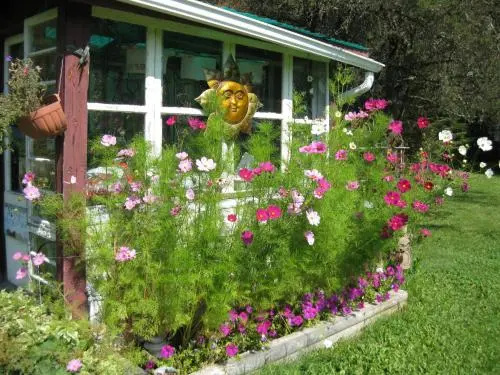 Country Cozy Bed And Breakfast