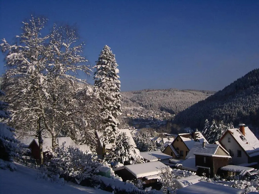 Pension Am Waldesrand - Chambres