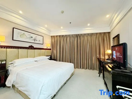 Business Villa