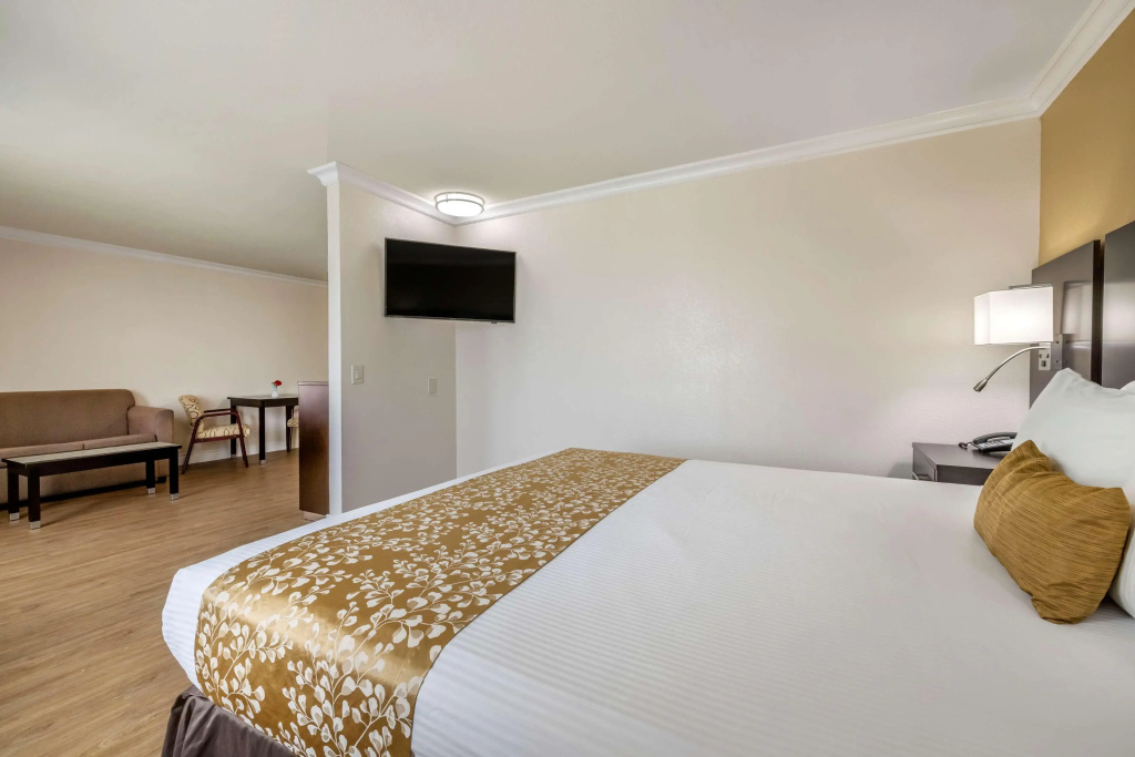 Best Western Plus South Bay Hotel - Général