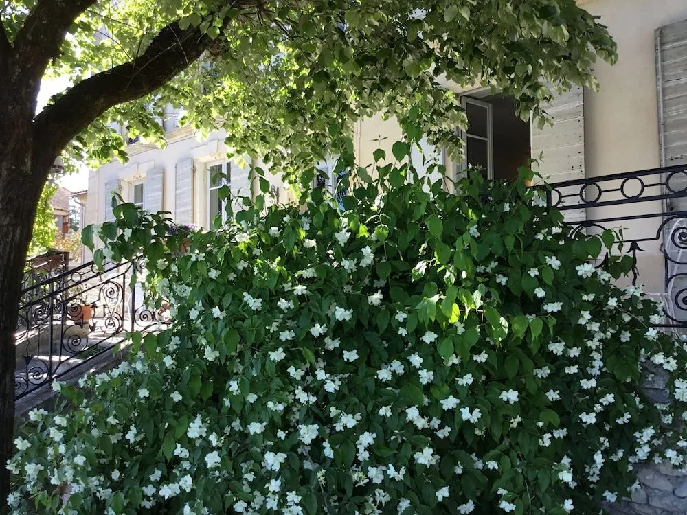 B&B en Provence- Villa Saint Marc