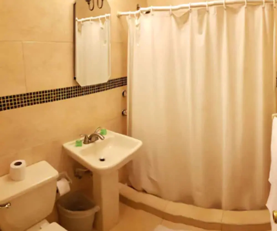 Deluxe Suite with city view