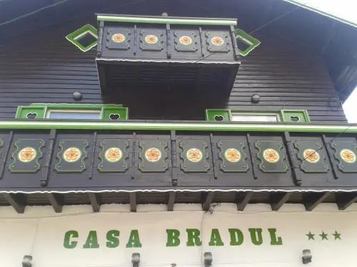 Pension Casa Bradul