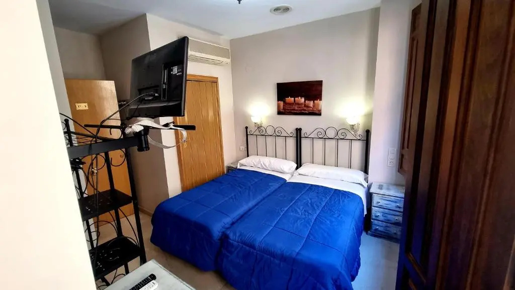 Standard Double room (twin beds)