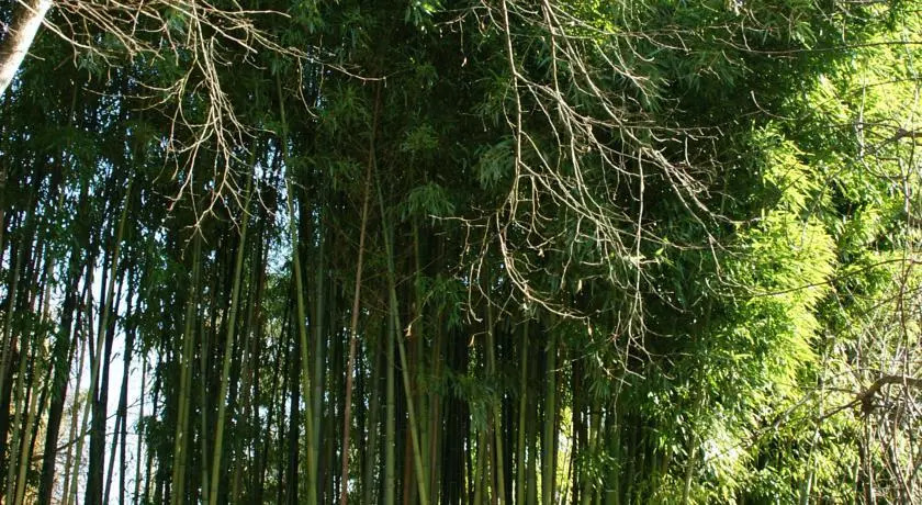 Villa Gael — фото 3