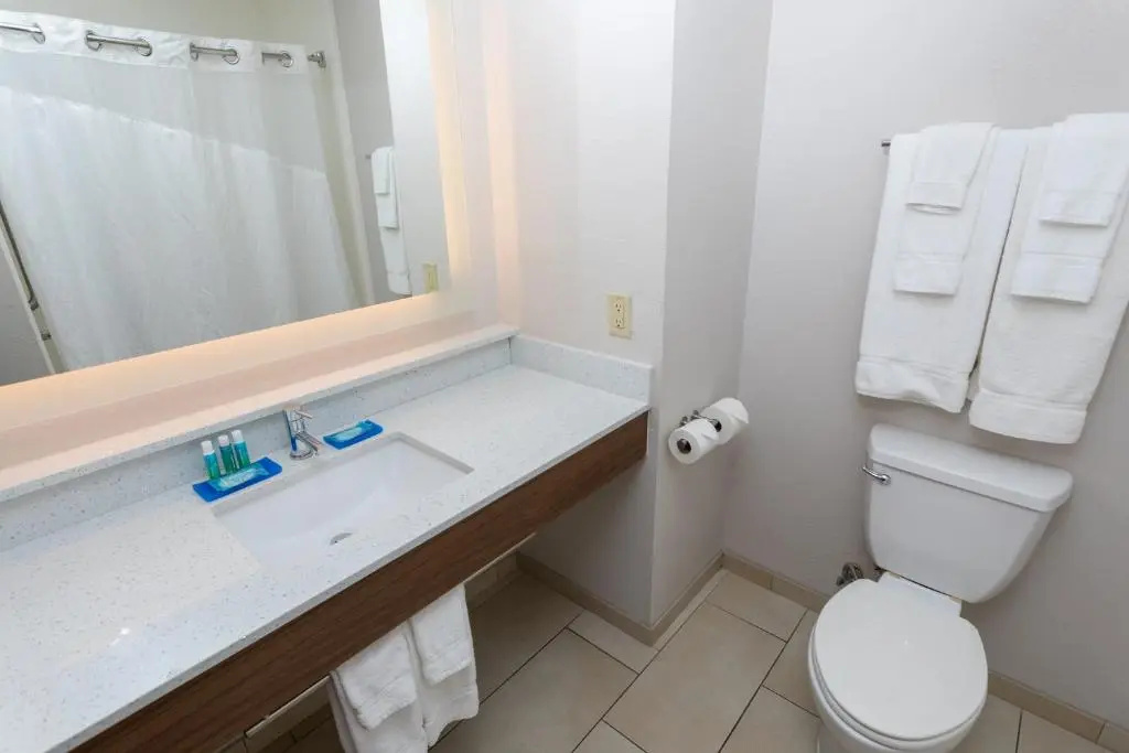 Holiday Inn Express Hotel & Suites Athens by IHG - Chambres