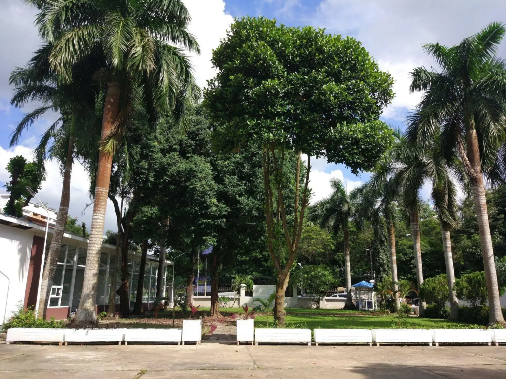 Hotel photo 25