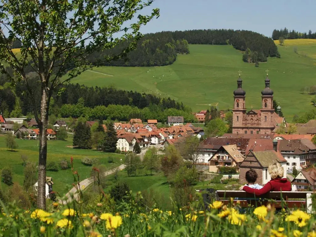 Gasthof Hirschen - Chambres