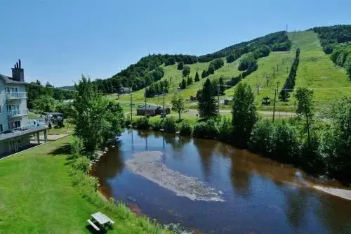 Chalet 620 Chemin du Hibou 224