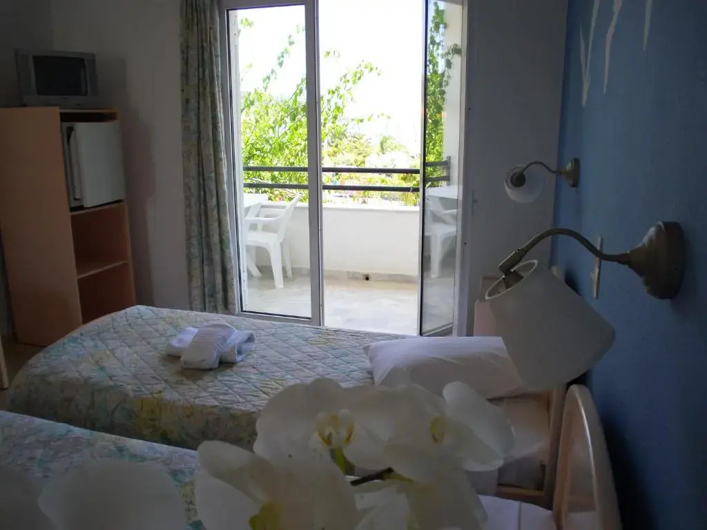 Standard Double room with pool view (full double bed)