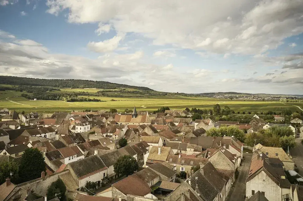 Le Montrachet - 2