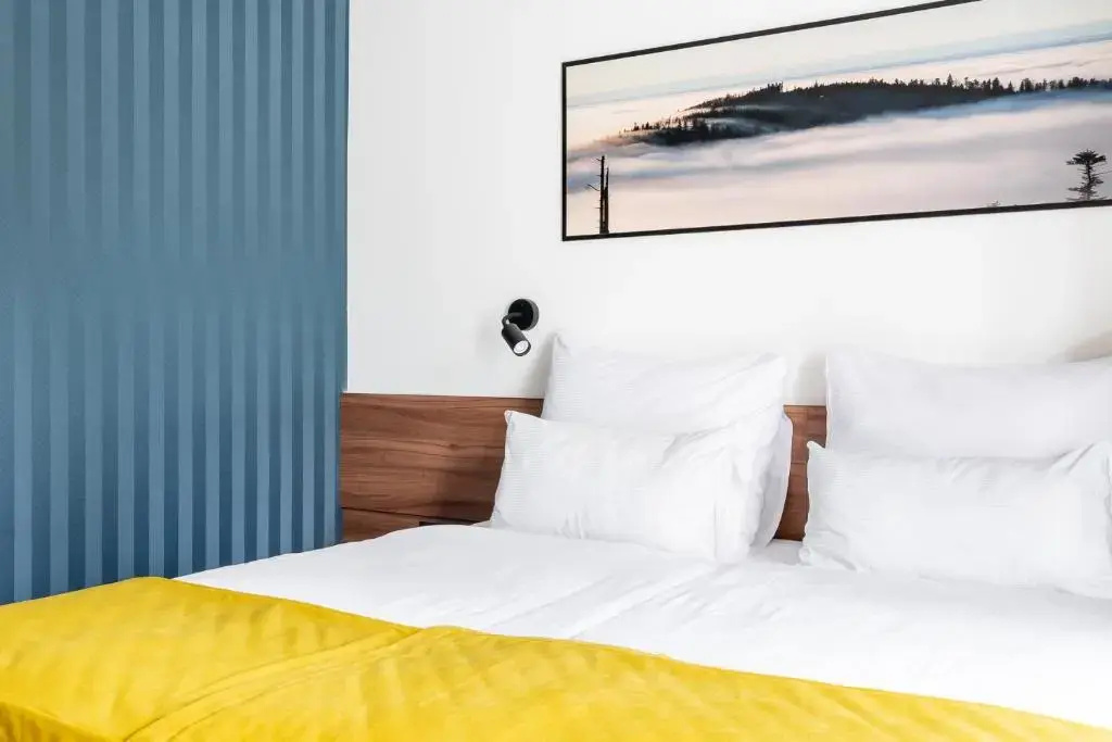 Standard Double room (twin beds)