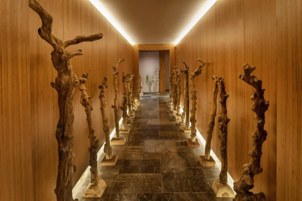 Regnum Carya - All Inclusive - фото 18