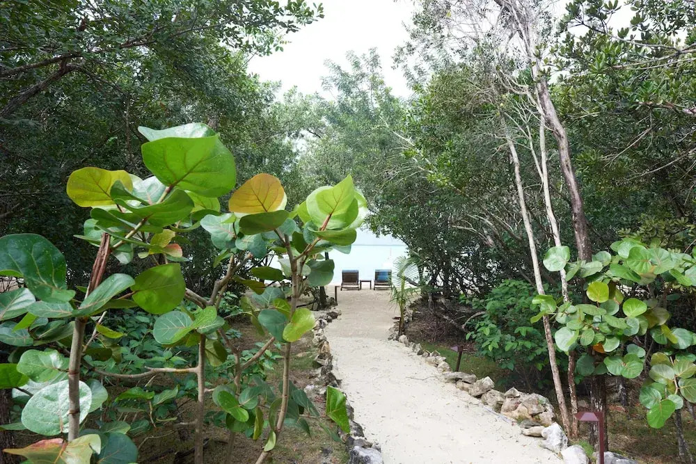 Tiamo Resort - фото 19