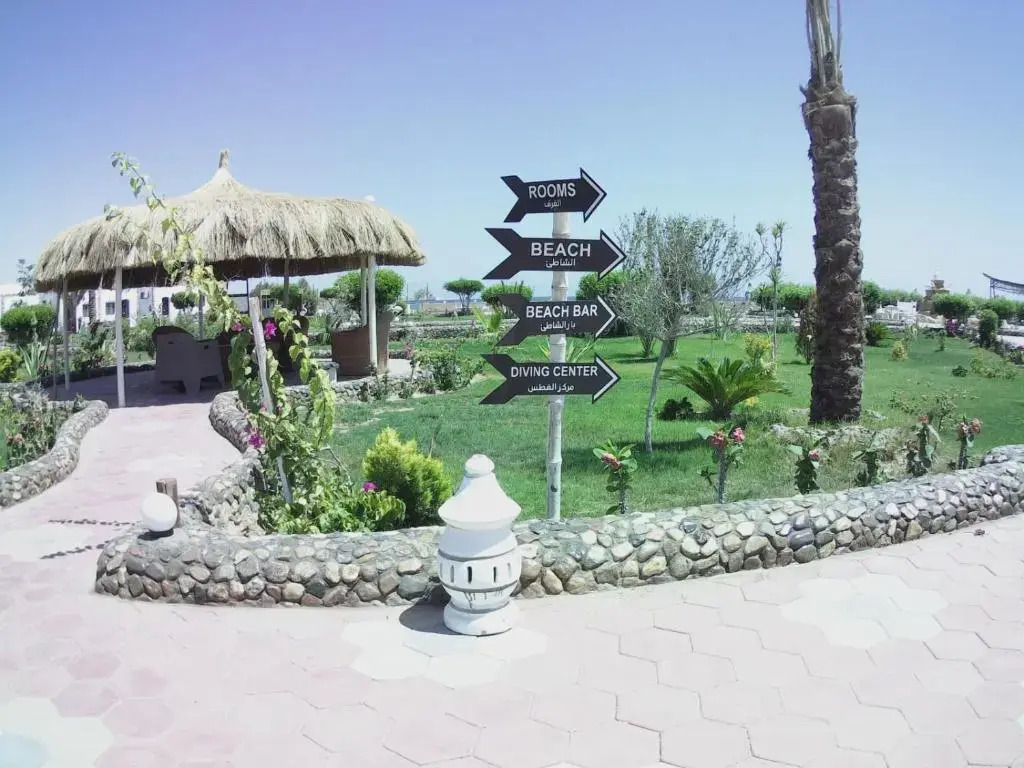 Dolphin Continental Hotel - фото 14