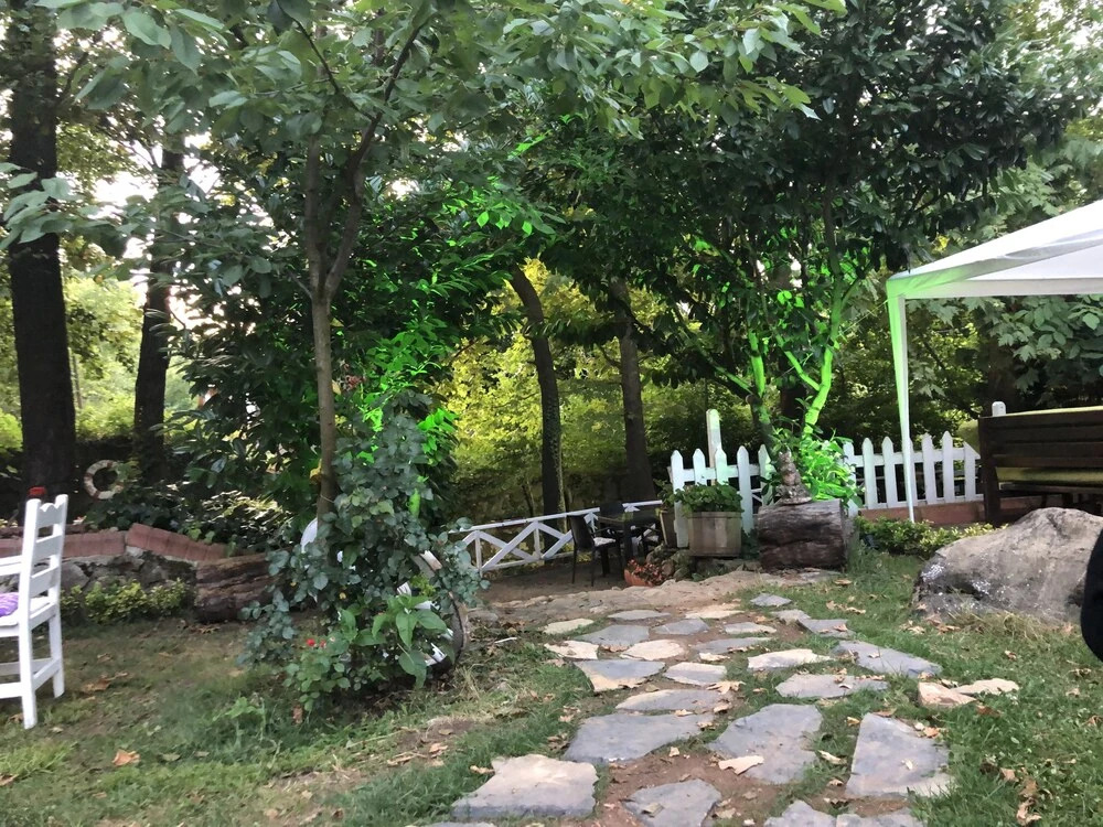 Image 15